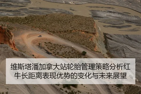维斯塔潘加拿大站轮胎管理策略分析红牛长距离表现优势的变化与未来展望